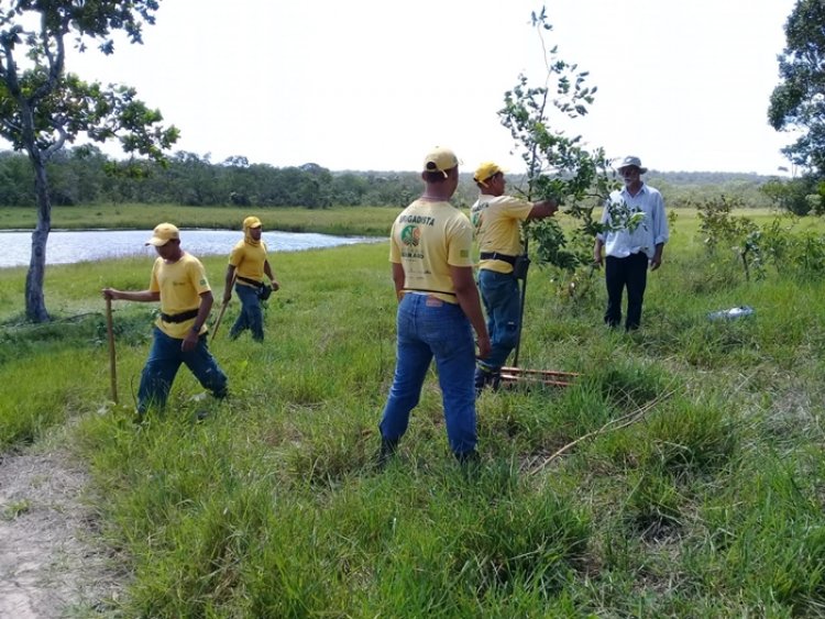 Secretaria Municipal da Agricultura põe em prática o projeto de preservação do Riacho da Volta
