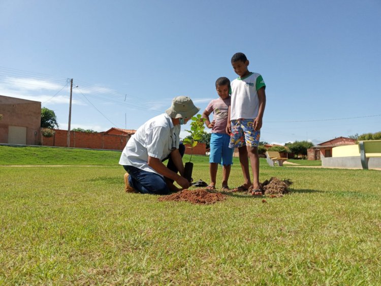 Secretaria promove arborização da Praça Milton Santos no povoado Almécegas.