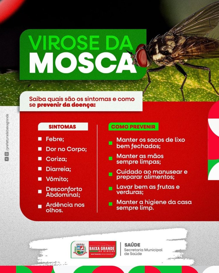 Prefeitura de Baixa Grande do Ribeiro, emite Alerta a população da Virose da Mosca
