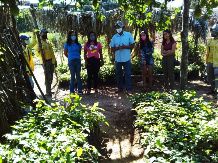 Projeto Queimadas: Secretaria de Meio Ambiente promove visitas ao viveiro