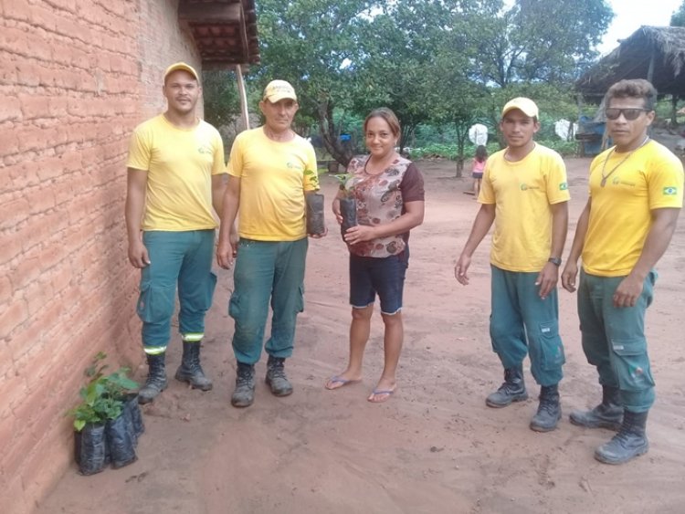 Secretaria Municipal da Agricultura põe em prática o projeto de preservação do Riacho da Volta