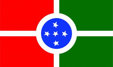 A Bandeira do Município