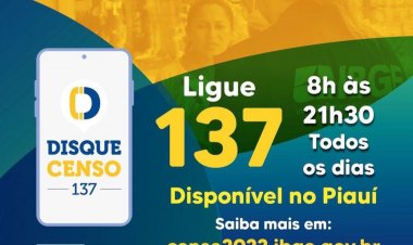 DISQUE SENSO: LIGUE 137