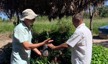 Dia Mundial do Meio Ambiente