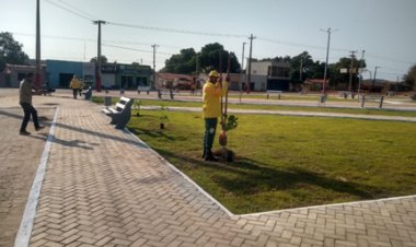 19 de novembro, aniversário de criação do Ministério do Meio Ambiente