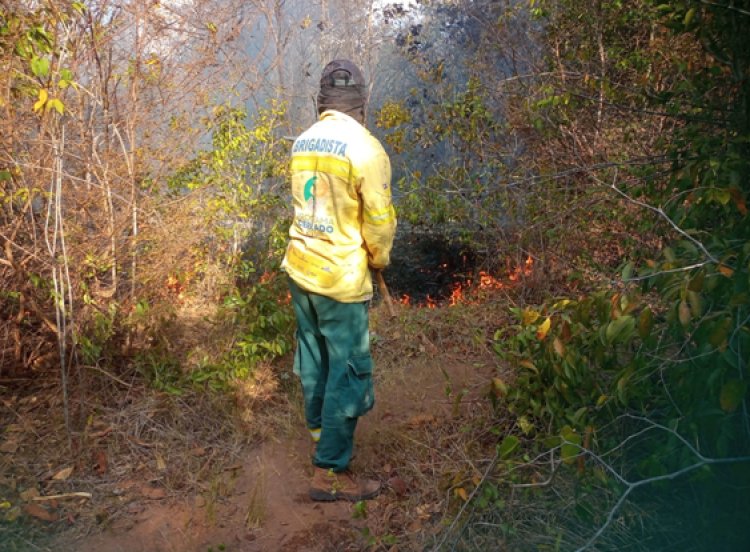 22 de Fevereiro dia Da Criação do IBAMA