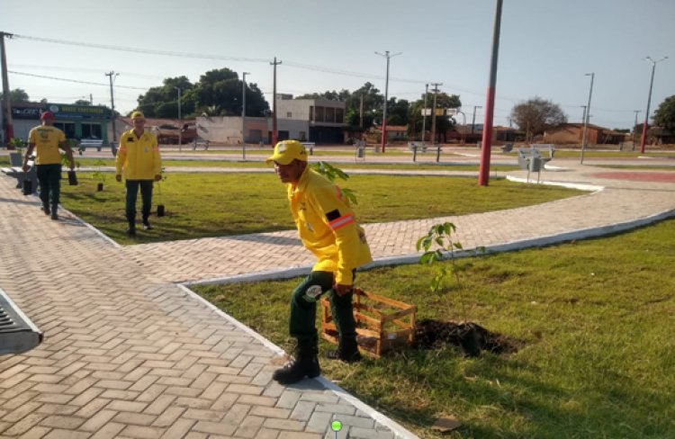 22 de Fevereiro dia Da Criação do IBAMA