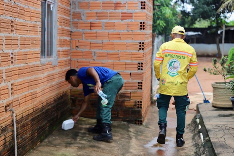 A Secretaria Municipal de Saúde de Baixa Grande do Ribeiro, realizou 3 dias de mutirões de combate à Dengue em diversos bairros da cidade