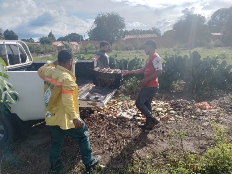 Brigada Municipal de Combate a Incêndio Florestal, realiza parceria com a Secretaria Municipal de Educação e Prefeitura