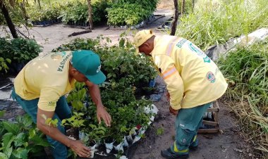 SECRETARIA MUNICIPAL DE MEIO AMBIENTE ALERTA SOBRE A IMPORTÂNCIA DA BIODIVERSIDADE