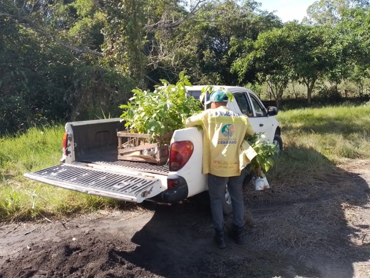 SECRETARIA MUNICIPAL DE MEIO AMBIENTE ALERTA SOBRE A IMPORTÂNCIA DA BIODIVERSIDADE