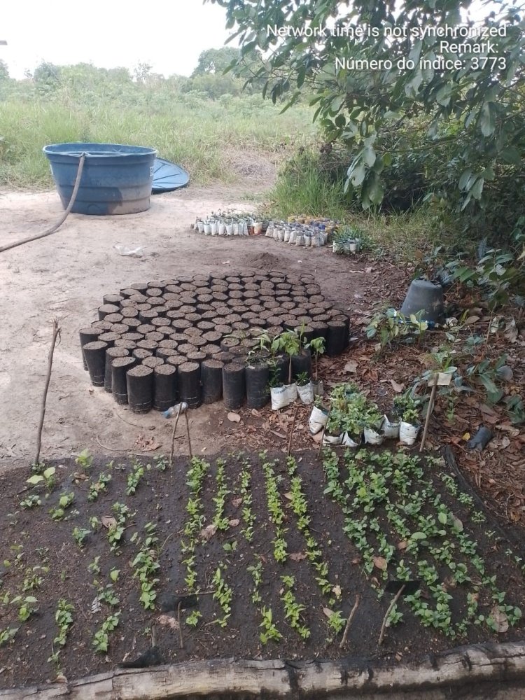 SECRETARIA MUNICIPAL DE MEIO AMBIENTE ALERTA SOBRE A IMPORTÂNCIA DA BIODIVERSIDADE