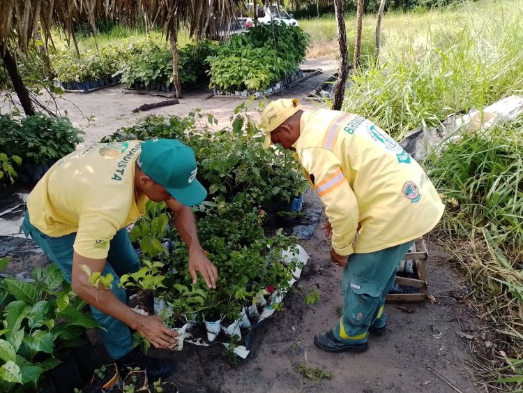 DIA MUNDIAL DO MEIO AMBIENTE  /  SEC. MUN DE MEIO AMBIENTE DE BAIXA GRANDE DO RIBEIRO