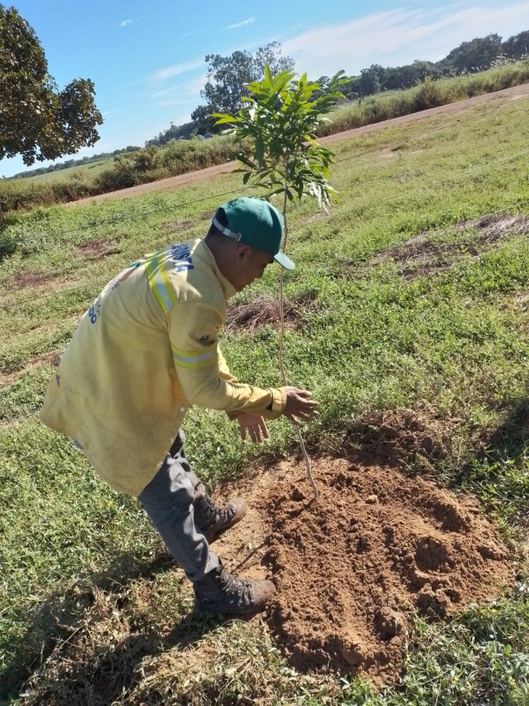 DIA MUNDIAL DO MEIO AMBIENTE  /  SEC. MUN DE MEIO AMBIENTE DE BAIXA GRANDE DO RIBEIRO