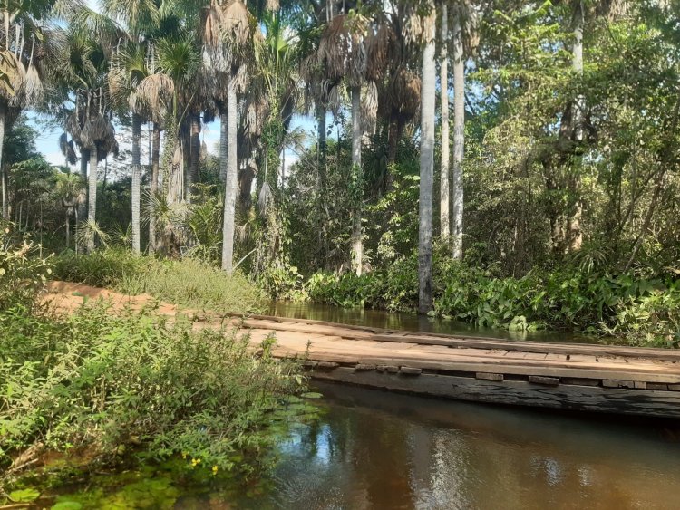 DIA MUNDIAL DO MEIO AMBIENTE  /  SEC. MUN DE MEIO AMBIENTE DE BAIXA GRANDE DO RIBEIRO