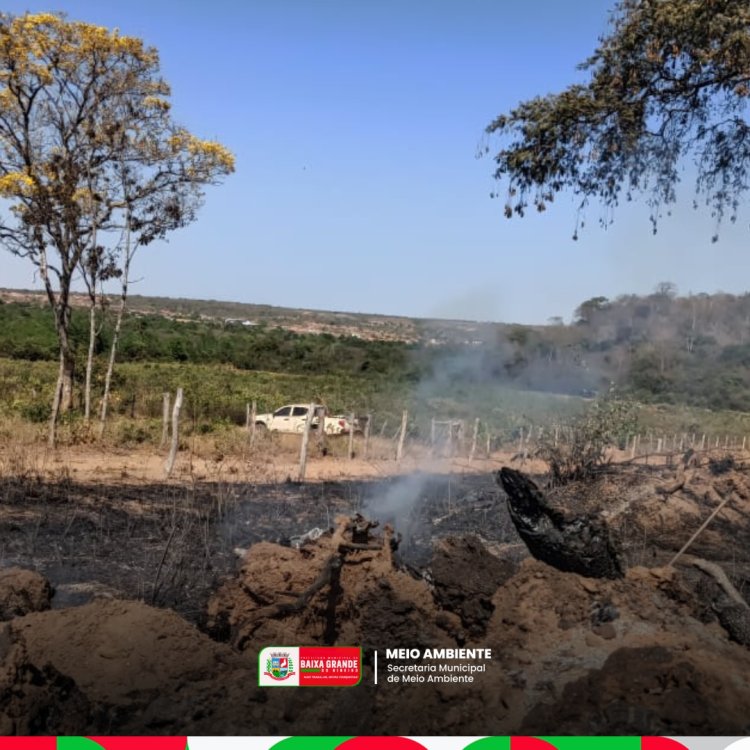 DIA NACIONAL DO CERRADO  11 DE SETEMBRO