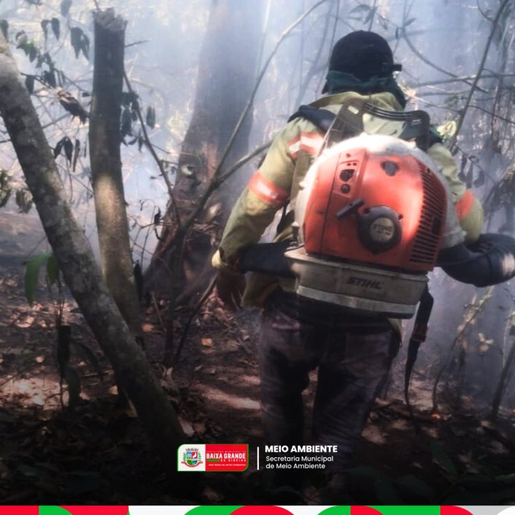 DIA NACIONAL DO CERRADO  11 DE SETEMBRO