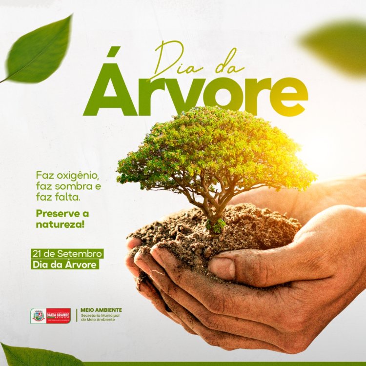21 DE SETEMBRO DIA DA ÁRVORE
