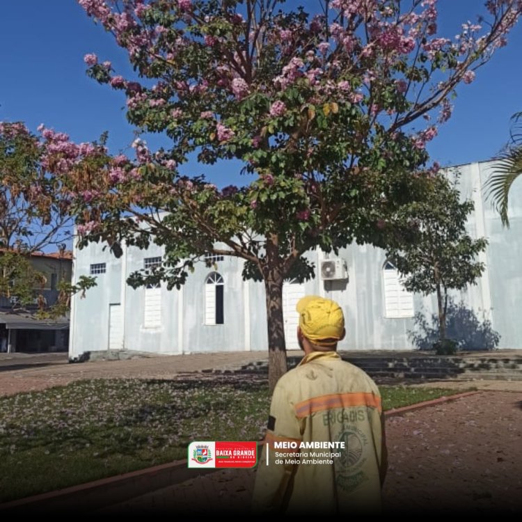 21 DE SETEMBRO DIA DA ÁRVORE