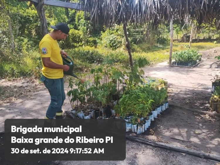 ANIVERSÁRIO DO MINISTÉRIO DO MEIO AMBIENTE