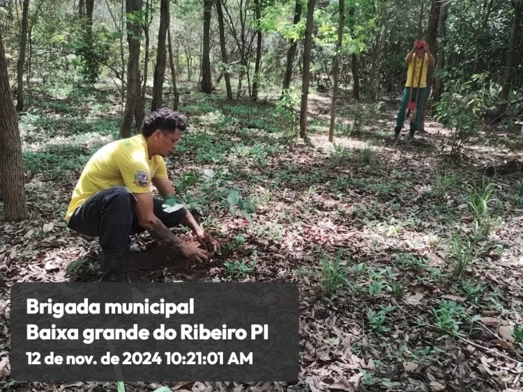 ANIVERSÁRIO DO MINISTÉRIO DO MEIO AMBIENTE