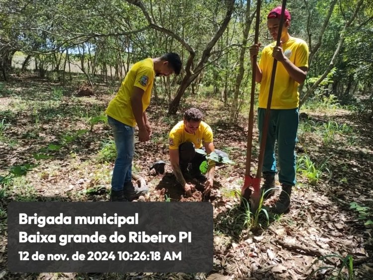 ANIVERSÁRIO DO MINISTÉRIO DO MEIO AMBIENTE