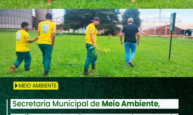 BAIXA GRANDE DO RIBEIRO : AÇÃO DE REFLORESTAMENTO E PRESERVAÇÃO AMBIENTAL NA FAZ RIBEIRÃO