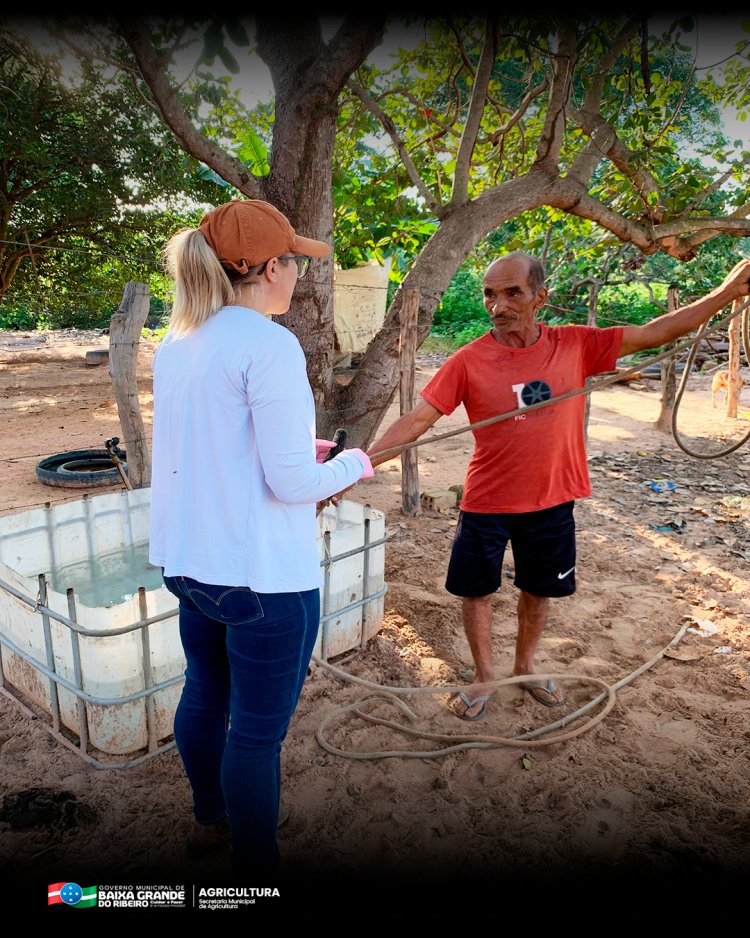 PREFEITURA DE BAIXA GRANDE DO RIBEIRO REALIZA VACINAÇÃO CONTRA BRUCELOSE NA ZONA RURAL.