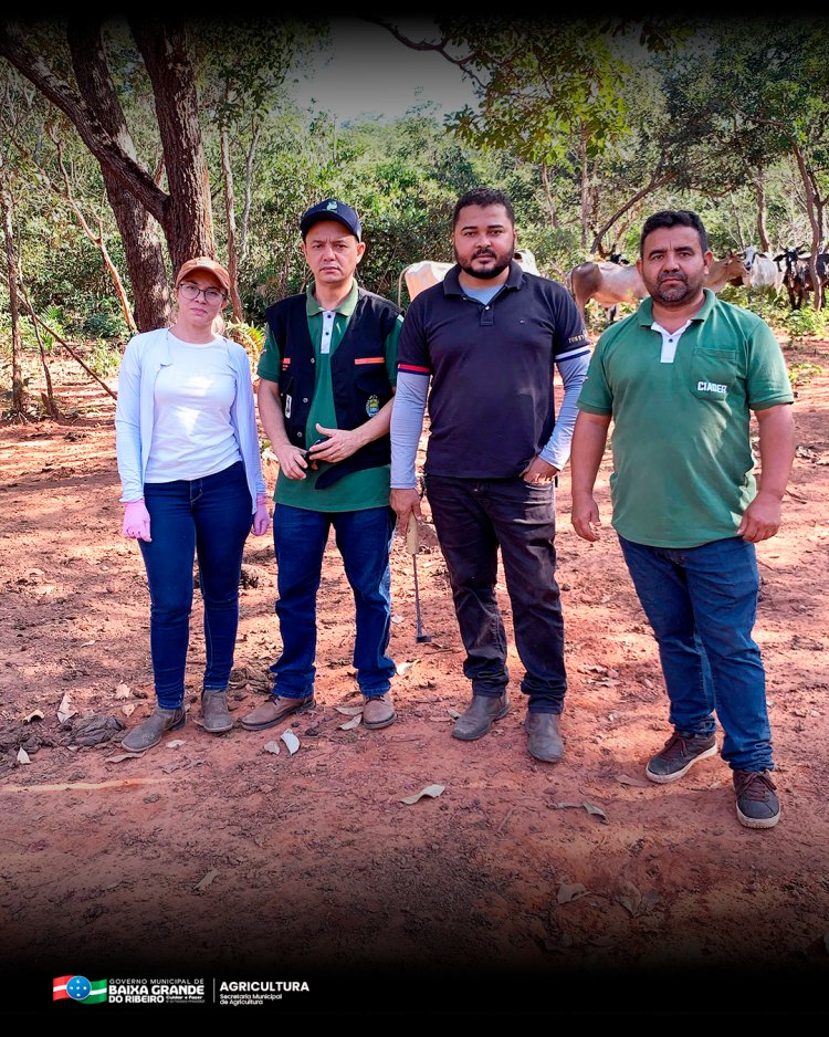 PREFEITURA DE BAIXA GRANDE DO RIBEIRO REALIZA VACINAÇÃO CONTRA BRUCELOSE NA ZONA RURAL.