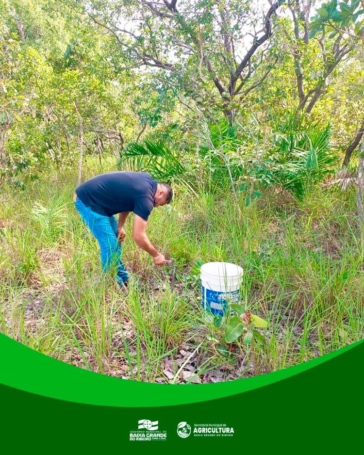 SECRETARIA MUNICIPAL DE AGRICULTURA PROMOVE AÇÃO DE LEVANTAMENTO DE SOLO EM COMUNIDADES RURAIS DO MUNICÍPIO