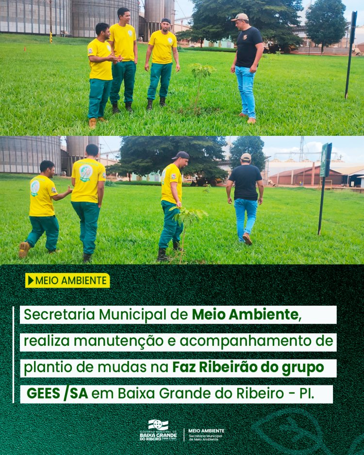 BAIXA GRANDE DO RIBEIRO : AÇÃO DE REFLORESTAMENTO E PRESERVAÇÃO AMBIENTAL NA FAZ RIBEIRÃO