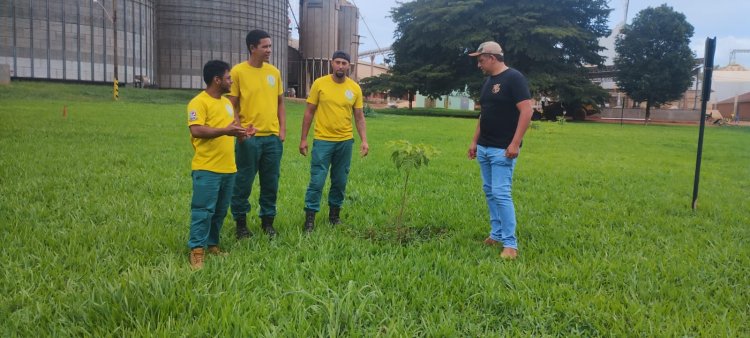 BAIXA GRANDE DO RIBEIRO : AÇÃO DE REFLORESTAMENTO E PRESERVAÇÃO AMBIENTAL NA FAZ RIBEIRÃO