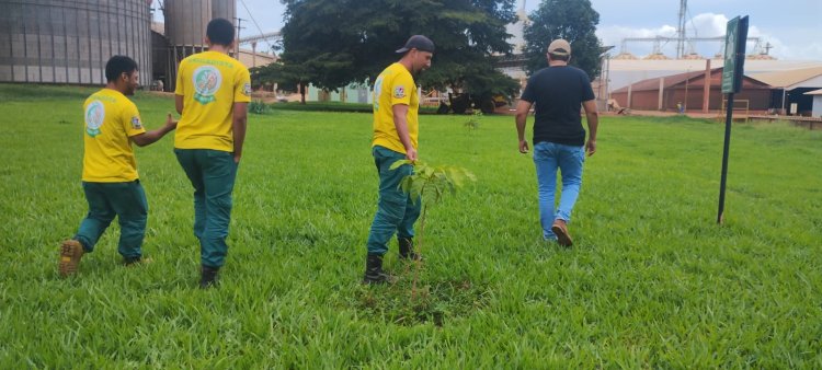 BAIXA GRANDE DO RIBEIRO : AÇÃO DE REFLORESTAMENTO E PRESERVAÇÃO AMBIENTAL NA FAZ RIBEIRÃO