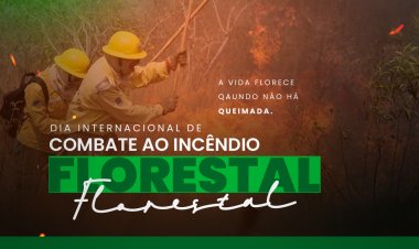 Dia Internacional de Combate ao Incêndio Florestal