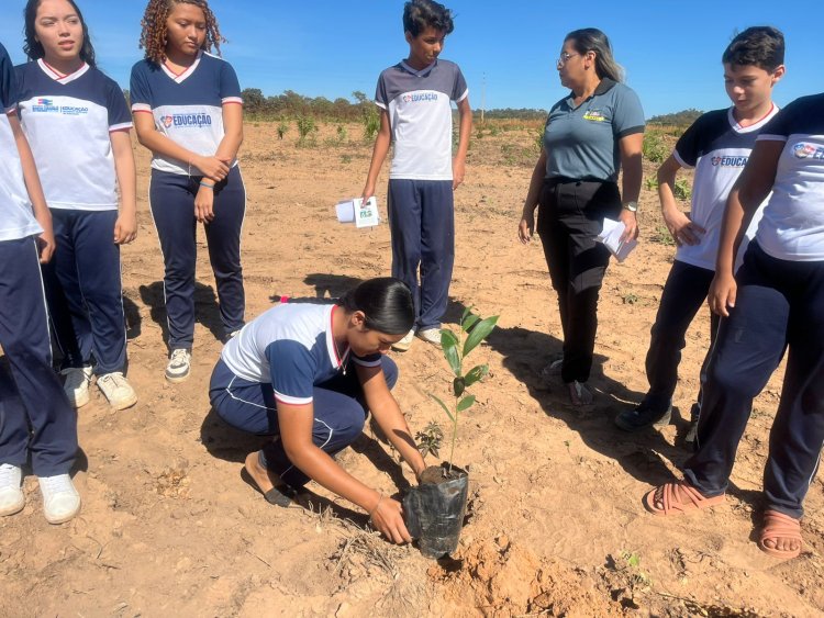 Ação em Alusão ao Dia Mundial do Meio Ambiente